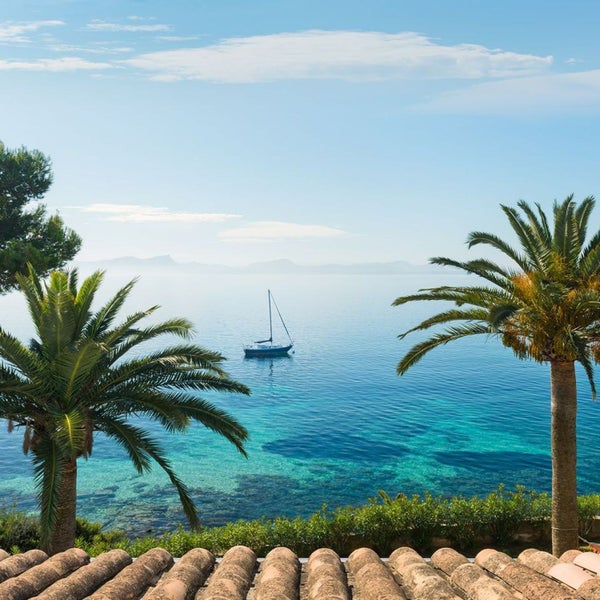 Blick auf das Meer mit Segelboot und Palmen
