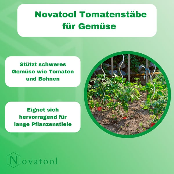 Novatool 50 Tomatenstäbe 170 cm 5 mm Durchmesser Tomatenspiralstäbe verzinkt Rankstäbe Tomatenstangen Rankhilfe Blumenhalter Pflanzstäbe