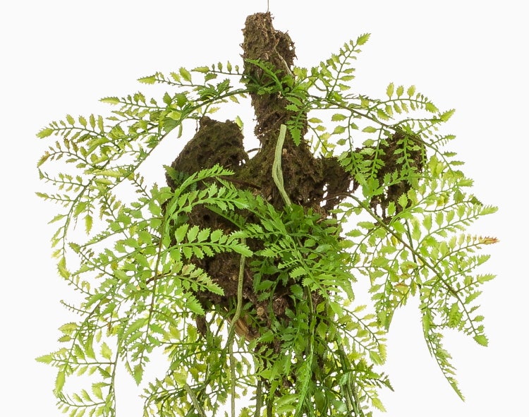 Künstliche Pflanze in einem schwarzen Kunststofftopf mit braunen Stielen und dekorativen Fasern.