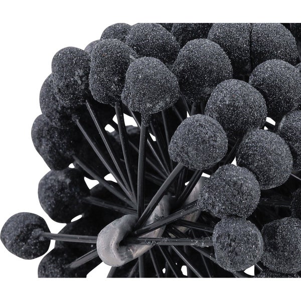 Drehmomentschraubendreher Set in schwarzer Aufbewahrungstasche