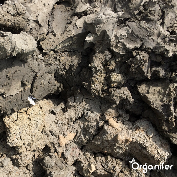 Basaltmehl-Bodenverbesserungsmittel für Lehmboden (20 kg für 200 m2) - Organifer
