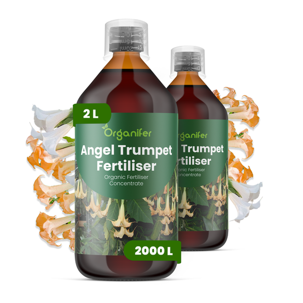 Organifer Engelstrompeten-Dünger, Bio-Dünger-Konzentrat, 2 Liter Flasche, ausreichend für 2000 Liter.