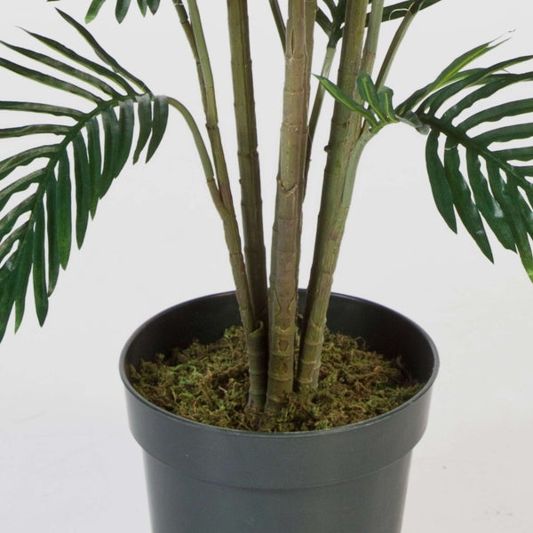 Künstliche Palme im schwarzen Kunststofftopf mit Moos und grünen Palmwedeln.