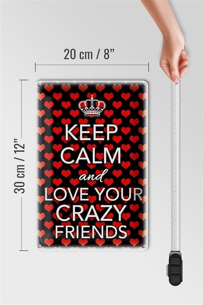 Blechschild Spruch 20x30cm Keep Calm and love crazy friends