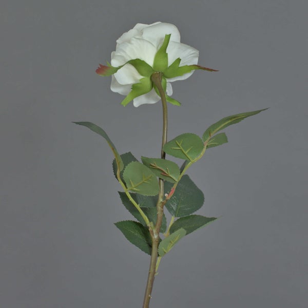 Künstliche weiße Rose, Detailansicht von grünem Stiel und grünen Blättern mit gezackten Rändern und Blattadern.