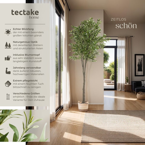 Dekorativer Olivenbaum von Tectake im Wohnzimmer mit Topf.