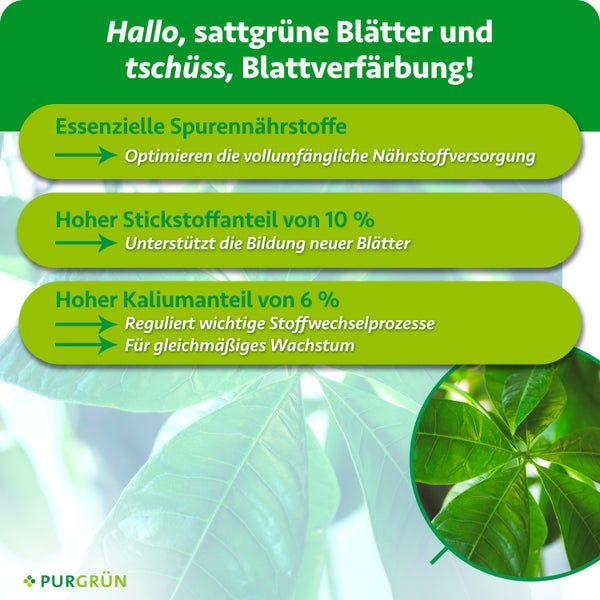 Infografik zum Purgrün Pflanzendünger mit Angaben zu Spurennährstoffen, 10 Prozent Stickstoff und 6 Prozent Kalium für gesundes Blattwachstum.