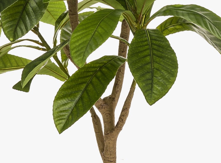 Künstlicher Baum mit runden grünen Blättern im schwarzen Topf.