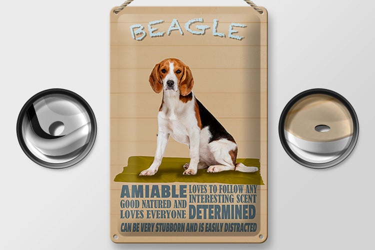 Blechschild Spruch 20x30cm Beagle Hund loves to follow any