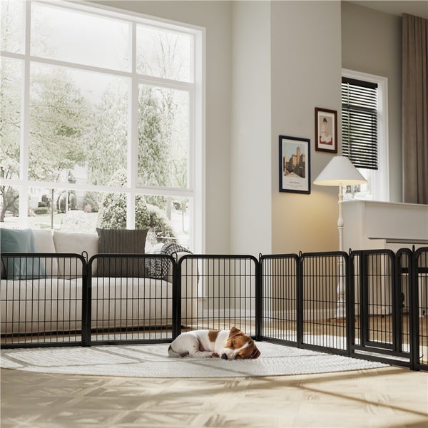 Helles Wohnzimmer mit einem schwarzen Hundezaun aus Metall, der einen Hund auf einem Teppich umgibt.