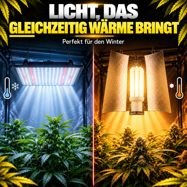 Vergleich zwischen LED Pflanzenlampe für kühleres Licht und Natriumdampflampe mit Reflektor für Pflanzenwachstum und Wärmeerzeugung.