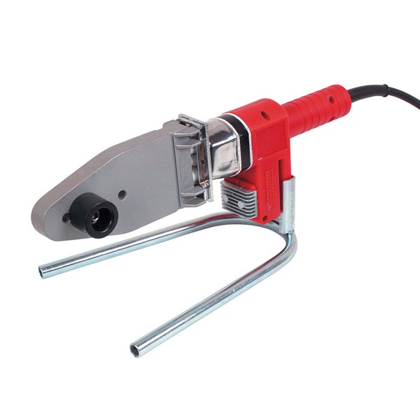 Büschel von Blauschwingelgras im Gartenbeet