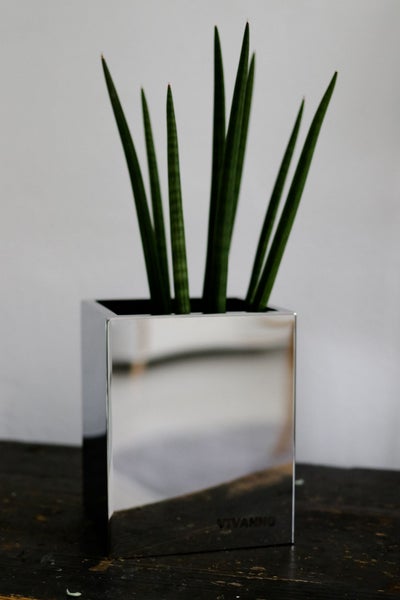 Quadratischer Pflanzkübel in Silber-Optik mit einer Sansevieria-Pflanze auf einer dunklen Holzoberfläche, Vivanno Logo.
