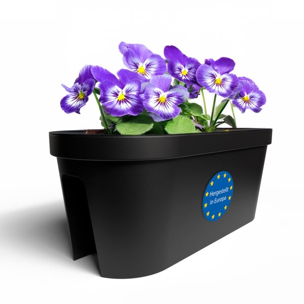 Hornveilchen in einem schwarzen Blumentopf mit Halterung und dem Siegel Hergestellt in Europa