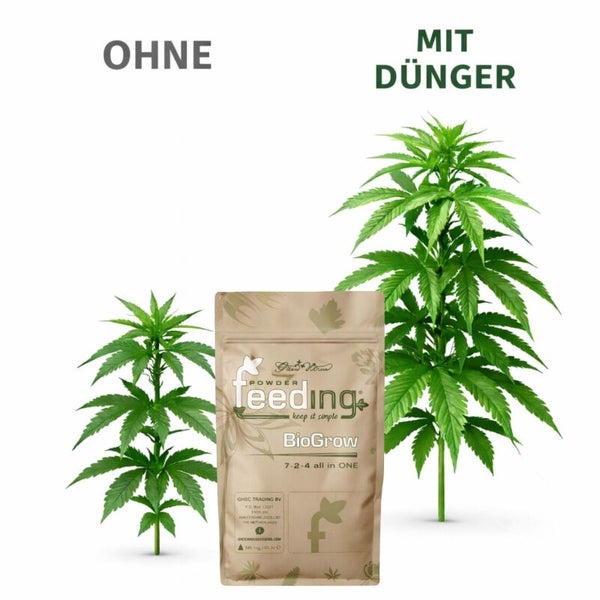 Abbildung eines Sackes BioGrow-Düngers vor zwei Cannabispflanzen, eine ohne Dünger und eine mit Dünger