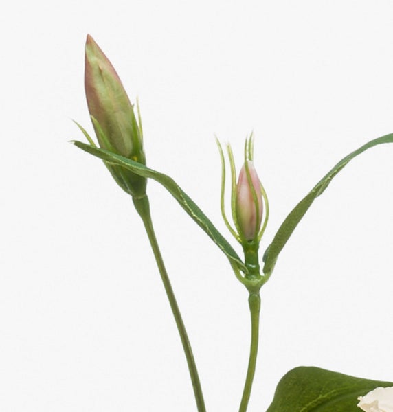 Nahaufnahme von grünen Blättern an einem Stiel einer Kunstpflanze.