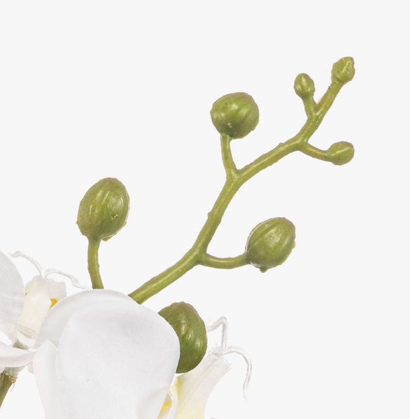 Künstliche Calathea Pflanze mit großen ovalen Blättern und markantem Streifenmuster.