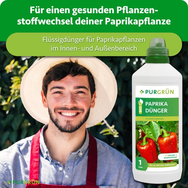 Eine Flasche Purgrün Paprika Dünger, Flüssigdünger für ein gesundes Wachstum von Paprikapflanzen, für Innen- und Außenbereich geeignet.
