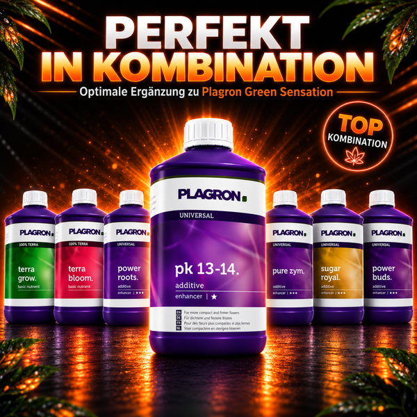 Plagron Dünger Auswahl als Set für Pflanzenpflege und optimales Blütenwachstum inklusive Plagron PK 13-14 für kompakte Blüten.