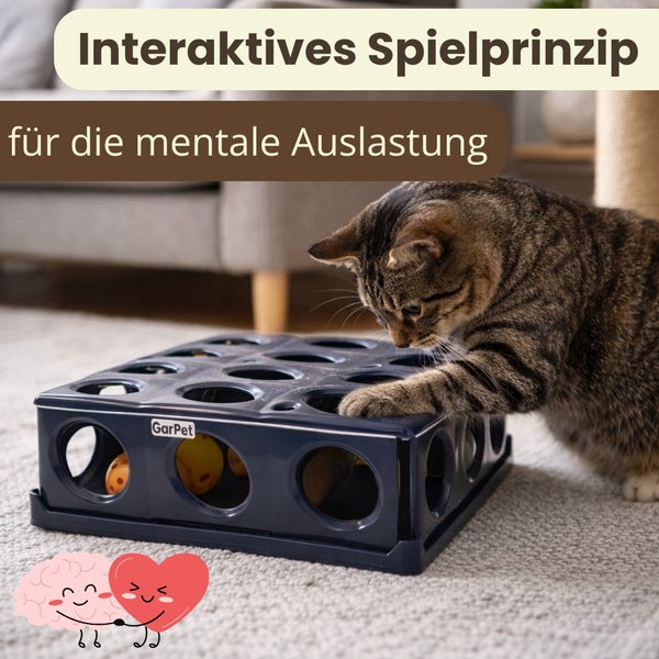 Katze spielt mit interaktivem GarPet Spielzeug zur Förderung der mentalen Auslastung