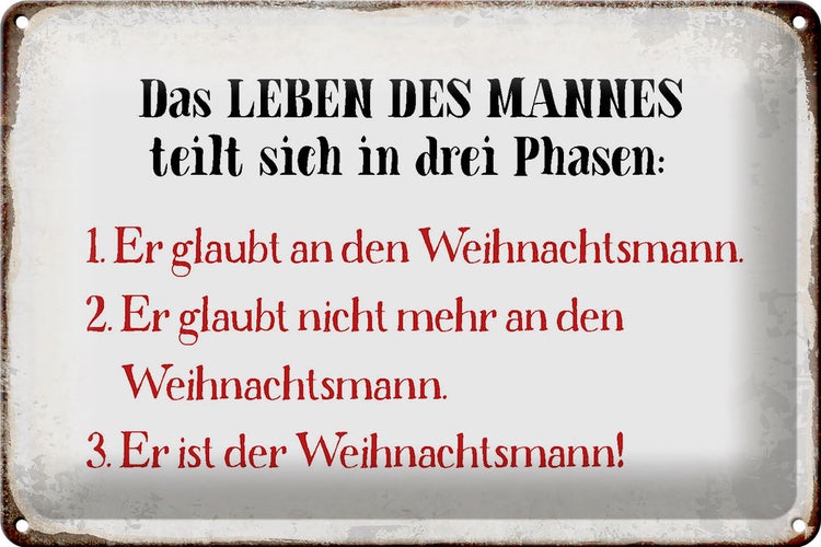 Blechschild Spruch 30x20cm das Leben des Mannes 3 Phasen