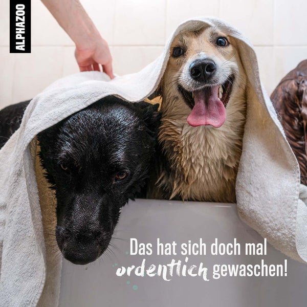 ALPHAZOO Lemon Zegg Shampoo 200ml für Hunde I Hundeshampoo gegen Zecken