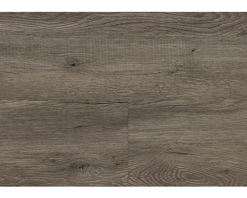 Vinylboden 2.5 Dryback Eiche Canberra