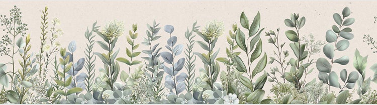 Tapetenbordüre mit botanischen Illustrationen von Eukalyptus und verschiedenen Pflanzen.