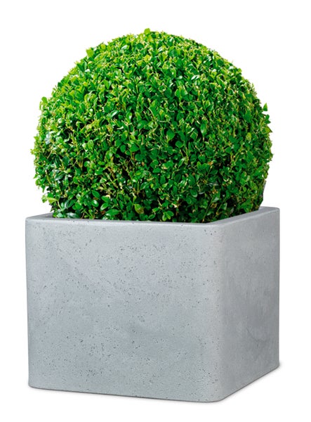 Scheurich Alea 40, Pflanzgefäß/Blumentopf/Pflanzkübel, quadratisch,  aus Kunststoff Farbe: Stony Grey, 38 cm Durchmesser, 33 cm hoch, 44 l Vol.