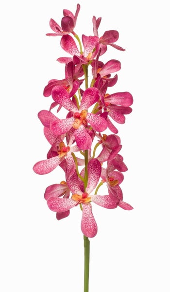 Künstlicher Orchideenzweig mit pink gepunkteten Blüten und grünem Stiel.