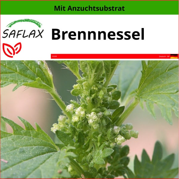 SAFLAX  - Brennnessel - Urtica urens - 150 Samen - Mit keimfreiem Anzuchtsubstrat