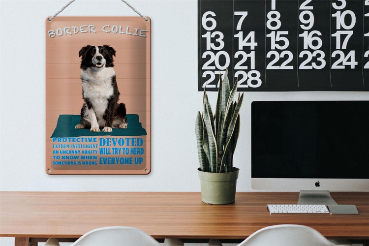 Blechschild Spruch 20x30cm Border Collie Hund protective