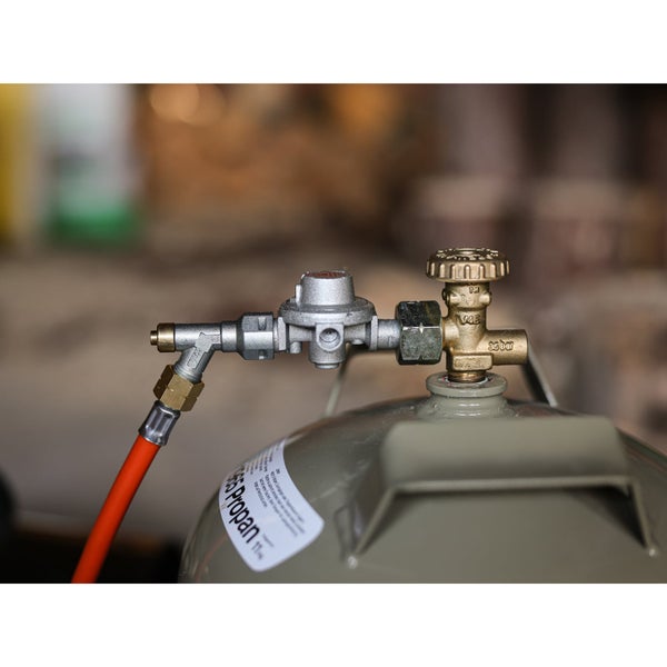 Im Bild ist eine Einzelblüte des Kleinen Immergrüns zu sehen.