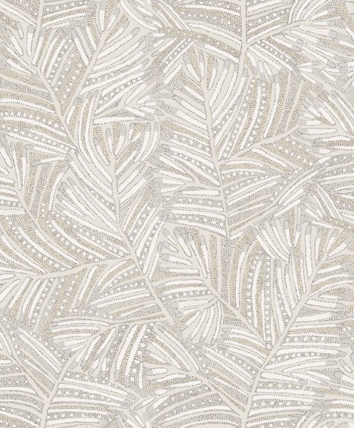 Nahaufnahme eines Adlerfarns im Garten.