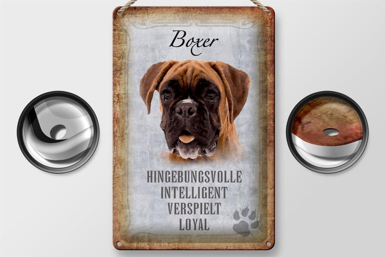 Blechschild Spruch 20x30cm Boxer Hund intelligent Schild