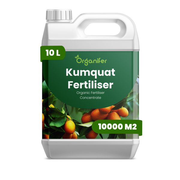Organifer Kumquat Dünger, organisches Düngerkonzentrat im 10 Liter Kanister für circa 10000 Quadratmeter.