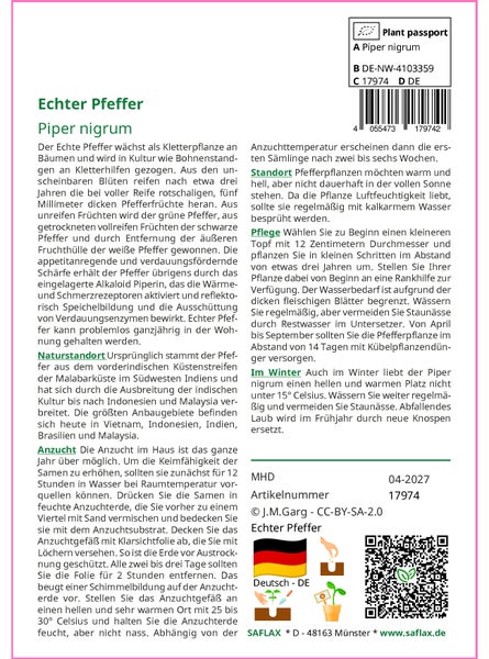 SAFLAX Garden to go - Echter Pfeffer - Piper nigrum - 20 Samen - Mit Topf, Klima - Deckel und Anzuchtsubstrat