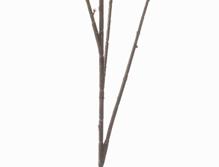 Brauner Stamm einer Kunstpflanze in einem schwarzen Kunststofftopf.