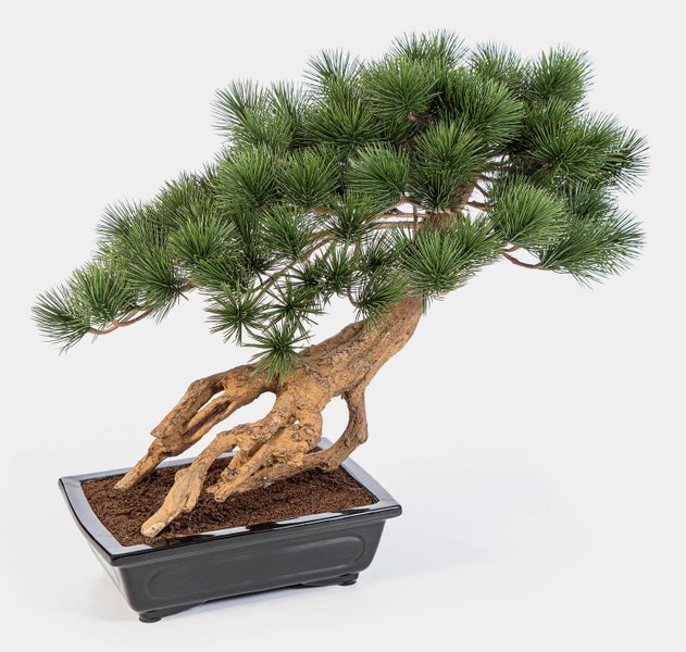Künstlicher Bonsai-Baum Kiefer in rechteckiger schwarzer Schale