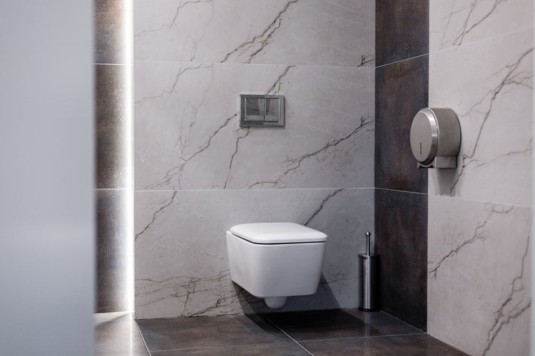 Modernes Badezimmer mit Wand-WC, Betätigungsplatte und Toilettenpapierhalter