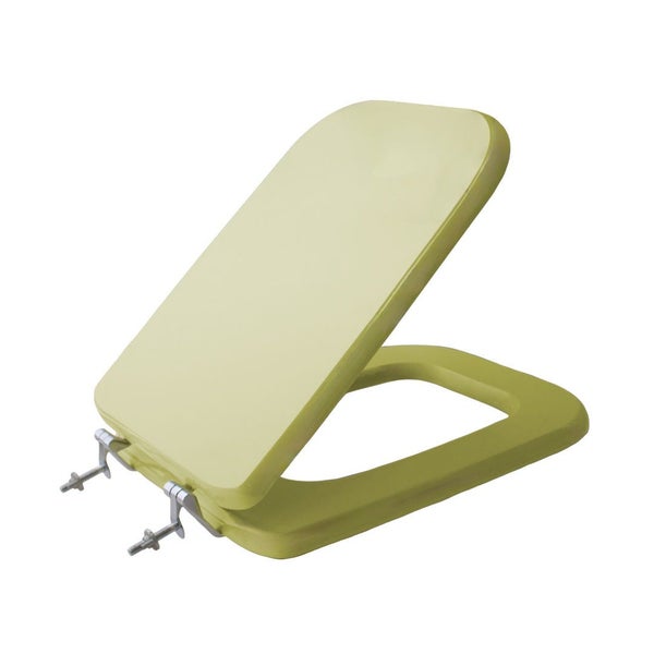 Rechteckiger Toilettensitz in Grün mit Edelstahlscharnieren.