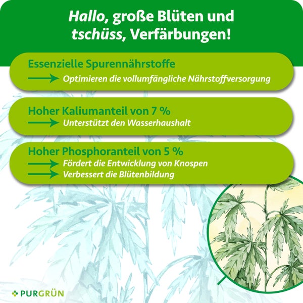 Purgrün Dünger mit Spurennährstoffen, 7 Prozent Kalium für den Wasserhaushalt und 5 Prozent Phosphor für die Blütenbildung. Purgrün Logo.