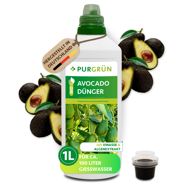 Purgrün Avocado Dünger, organischer Flüssigdünger mit Vinasse und Algenextrakt, 1 Liter Flasche, reicht für circa 100 Liter Gießwasser.