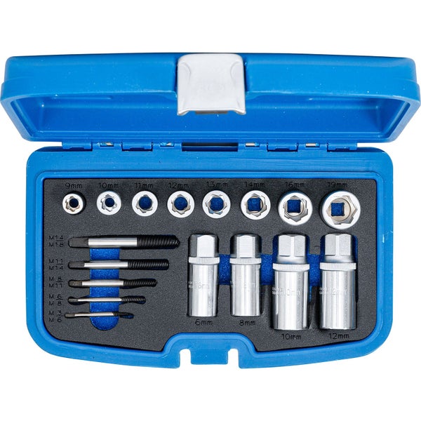 Satz Schraubenausdreher in blauer Box mit Einsätzen in verschiedenen Größen