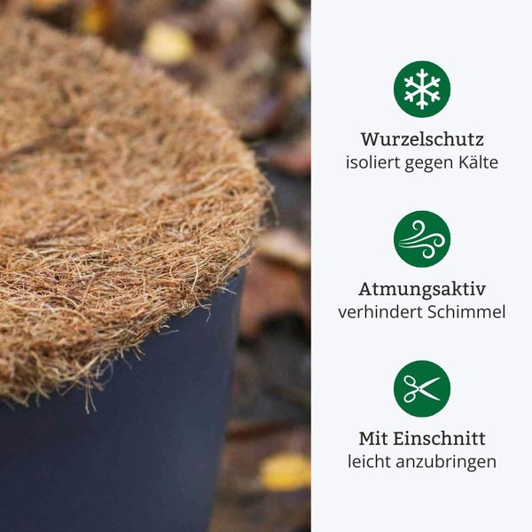Kokosnussscheibe für Pflanztopf, schützt Wurzeln, atmungsaktiv, mit Einschnitt