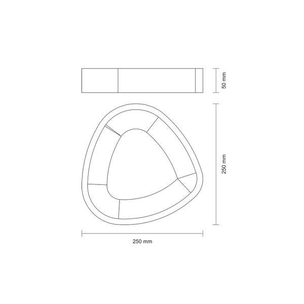 Technische Zeichnung eines dreieckigen Pflanzgefäßes mit den Maßen 250 mm x 250 mm x 50 mm