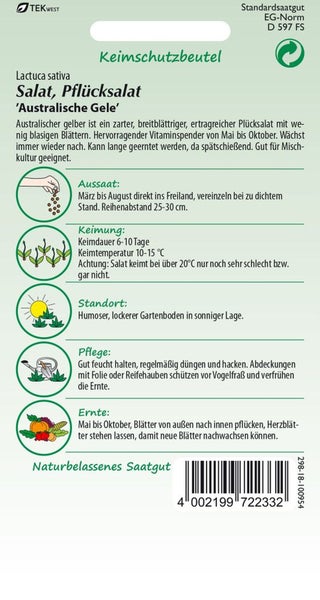 Salatsamen Pflücksalat Australische Gele