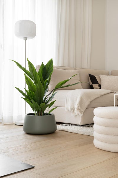 Große grüne Kunstpflanze in grauem Topf auf Holzboden in hellem Wohnzimmer mit beigem Sofa und weißen Vorhängen.