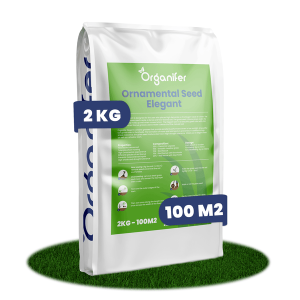 Organifer Zierrasensamen Elegant, 2 Kilogramm für 100 Quadratmeter, feinblättrige und dichte Grasnarbe, schatten- und trockenheitsverträglich.
