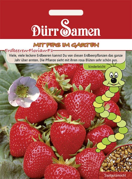 Samentüte für Erdbeeren Florian F1 von Dürr Samen aus der Serie Mit Fips im Garten, einfach anzubauen, mit Erdbeeren und Raupe.